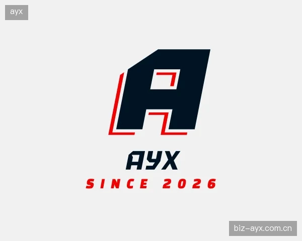介绍ayx集团